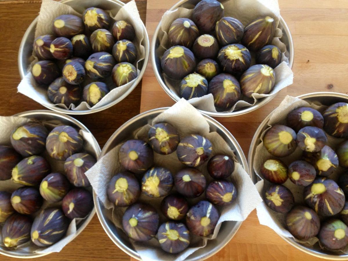 別墅 Olive Coast Palekastro