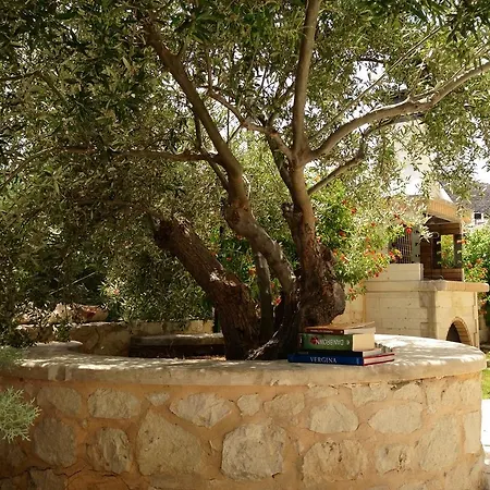 Olive Coast Suites Palekastro Exterior photo
