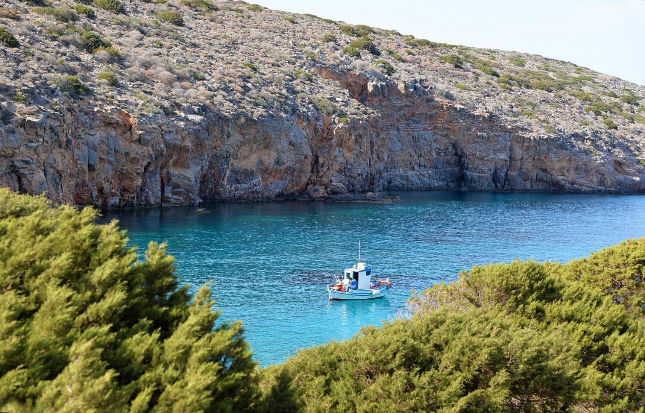 Olive Coast Villa *