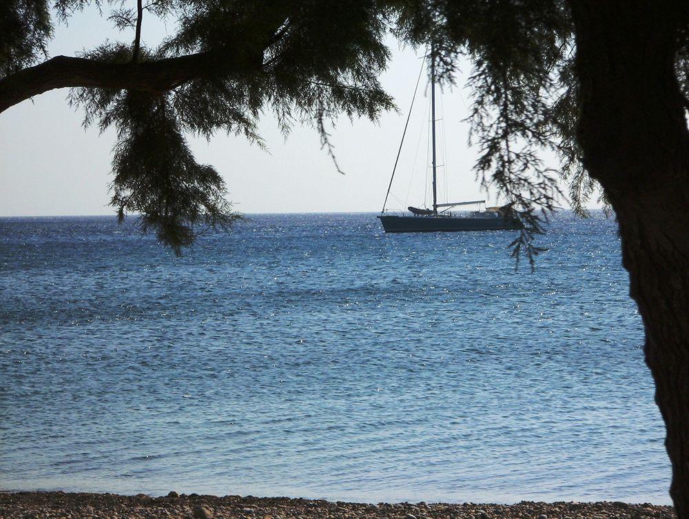 Olive Coast