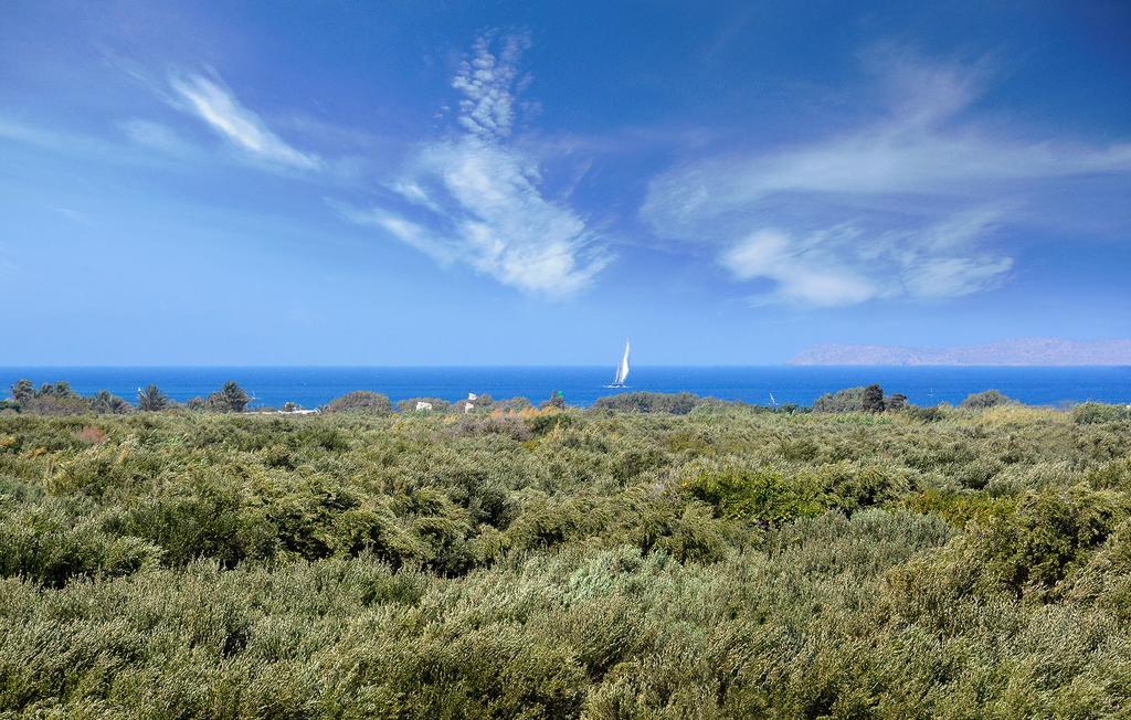 Olive Coast Villa *