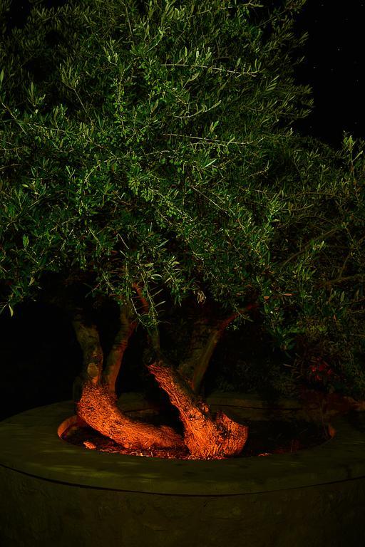 Olive Coast Villa