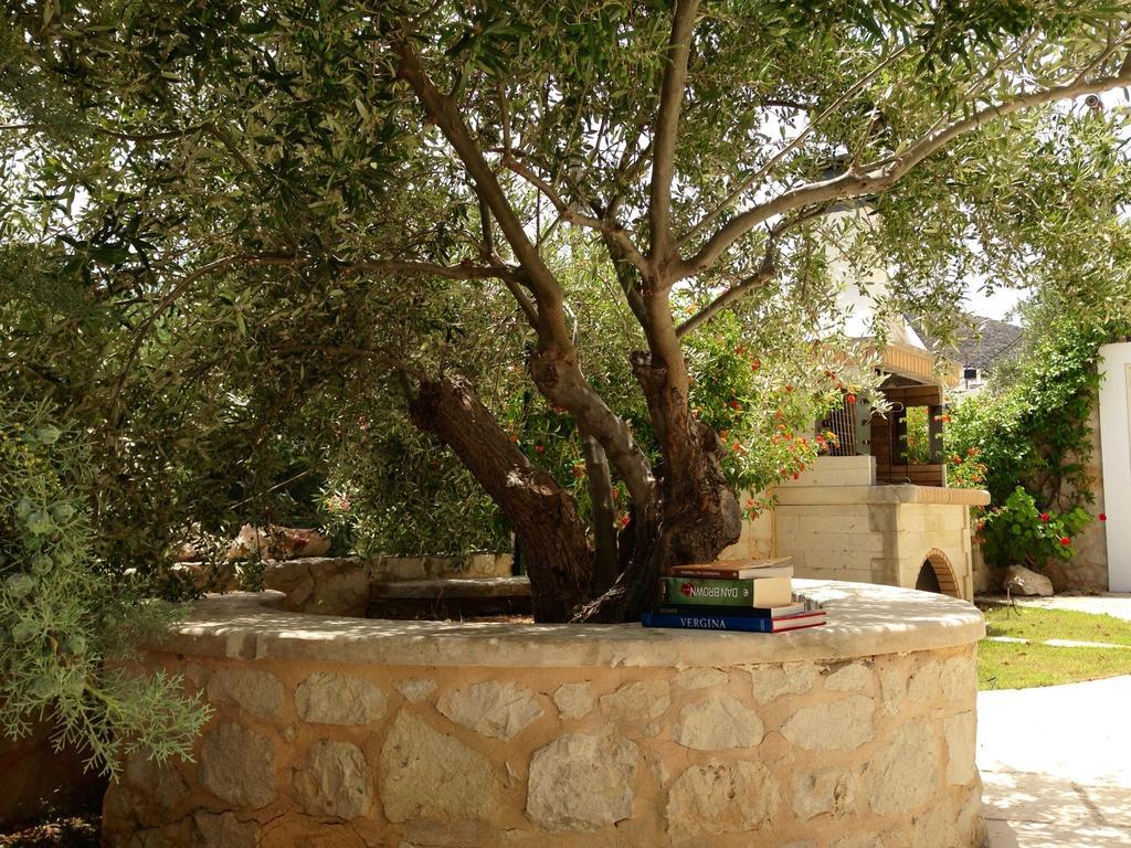 Villa Olive Coast